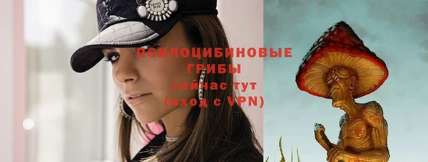 СК Абаза
